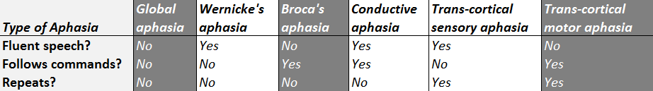 expressive aphasia classification