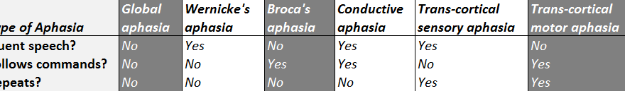 expressive aphasia classification