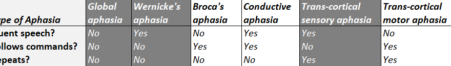 receptive aphasia classification